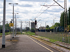 min 49 12.jpg